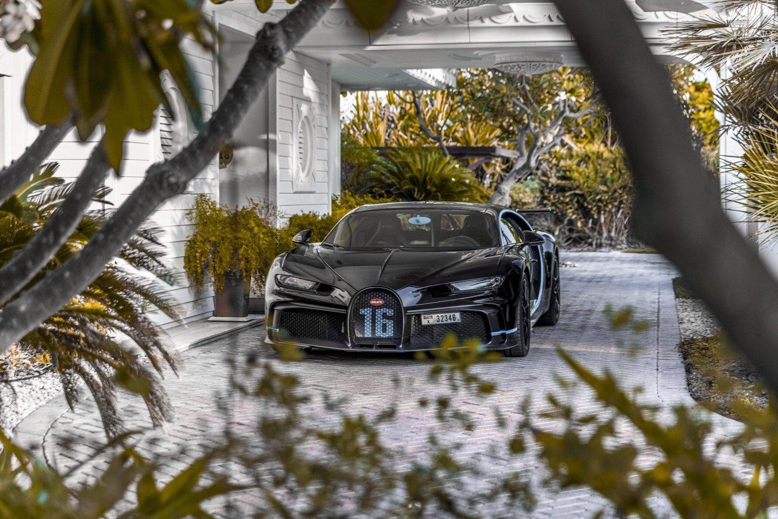 Bugatti Pur Sport — Through the leaves