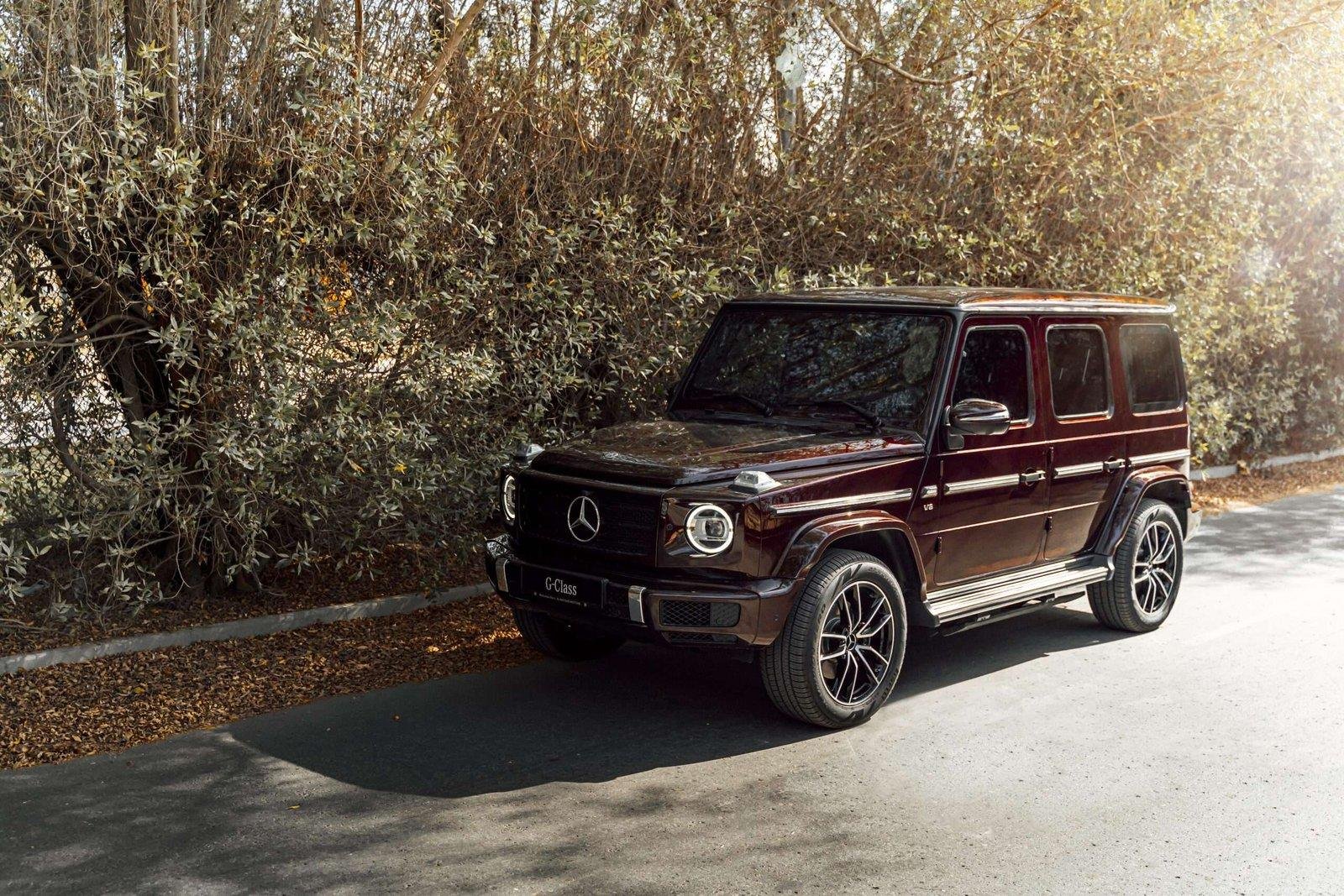 Mercedes G-Class — Under the trees